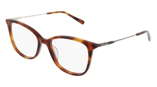 240 Soft Tortoise