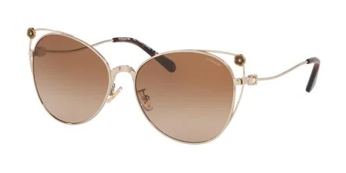 Coach Sunglasses HC7096B