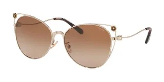 Coach Sunglasses HC7096B