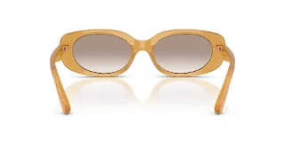 Coach Sunglasses HC8443D
