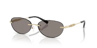 101487 Light Gold Shiny