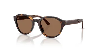 502673 Shiny Havana