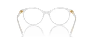 Swarovski Eyeglasses SK2019