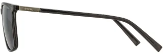 INVU Sunglasses INVU- 225