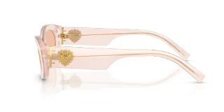 Dolce & Gabbana Sunglasses DG4537