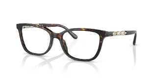 3006 Dark Tortoise