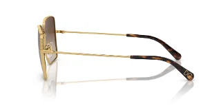 Dolce & Gabbana Sunglasses DG2242