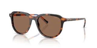 613773 Shiny Dark Havana