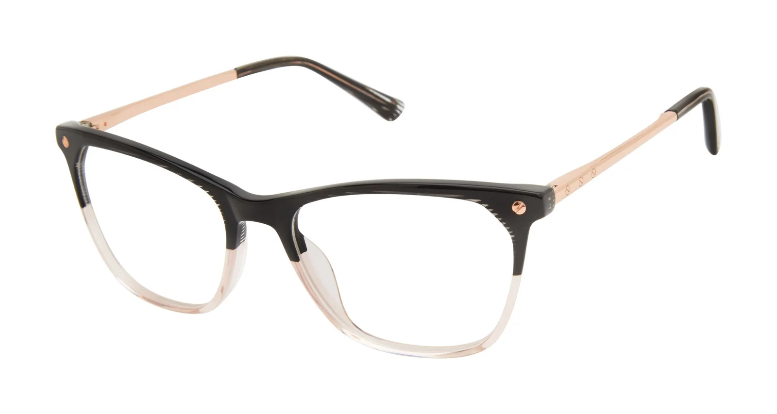 L.A.M.B. Eyeglasses LA101