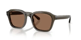 624973 Shiny Transparent Grey
