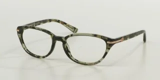 1241 Green Tortoise