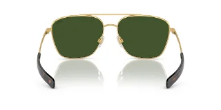 Polo Sunglasses PH3147
