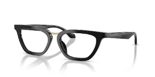 Giorgio Armani Eyeglasses AR7290U