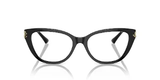 Jimmy Choo Eyeglasses JC3011