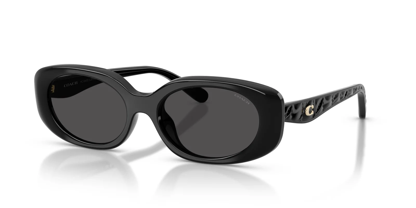 Coach Sunglasses HC8443D