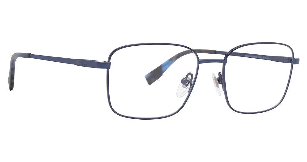 Ducks Unlimited Eyeglasses Badge