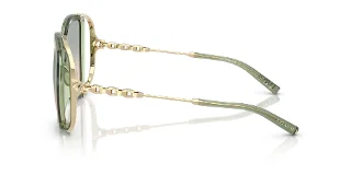 Coach Sunglasses HC8423U