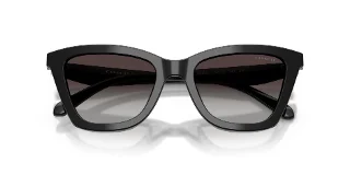 Coach Sunglasses HC8464U