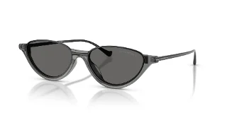 650187 Shiny Transparent Grey