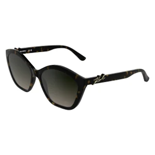 242 Dark Tortoise