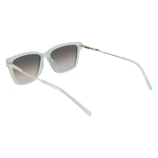 Dkny Sunglasses DK713S