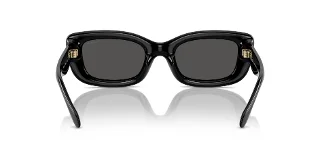 Coach Sunglasses HC8390U