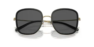 Tory Burch Sunglasses TY6101