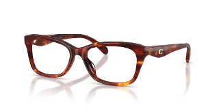 5938 Walnut Tortoise