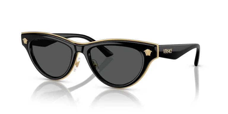 Versace Sunglasses VE2273