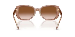 Coach Sunglasses HC8352