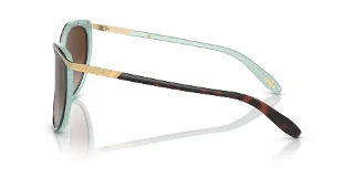 Ralph Sunglasses RA5150
