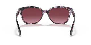 Coach Sunglasses HC8132