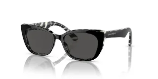 337287 Black On Zebra