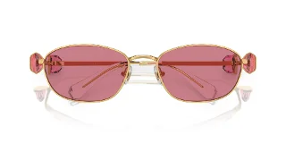 Swarovski Sunglasses SK7010