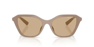 Armani Exchange Sunglasses AX4173SU