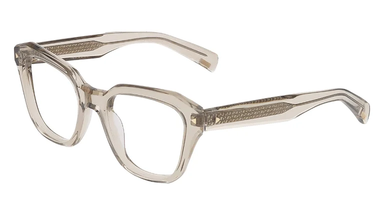 Avio Eyeglasses AOV2313