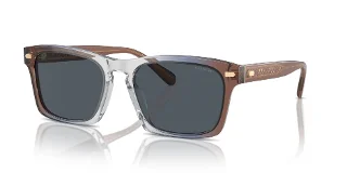 Coach Sunglasses HC8397U