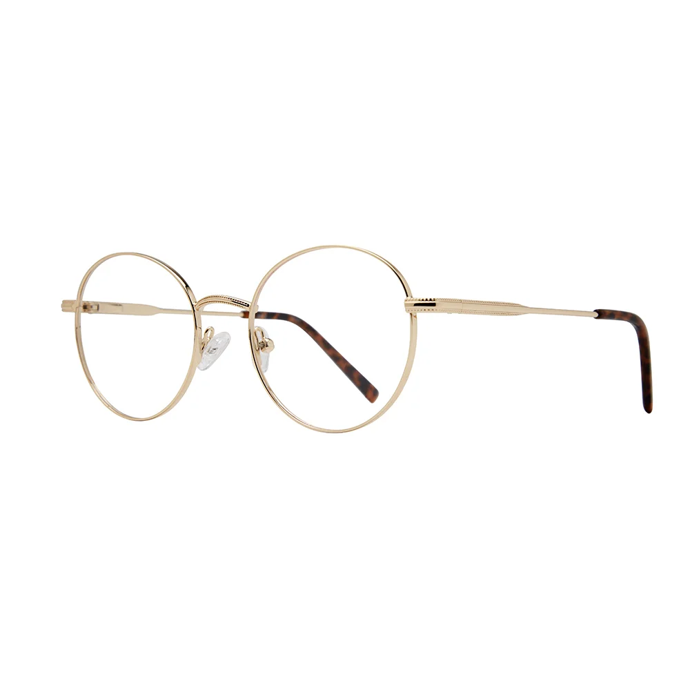 Stylewise Eyeglasses SW347