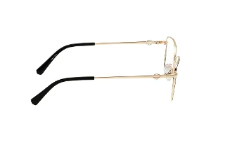 Harley Davidson Eyeglasses HD50118