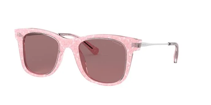 Coach Sunglasses HC8290