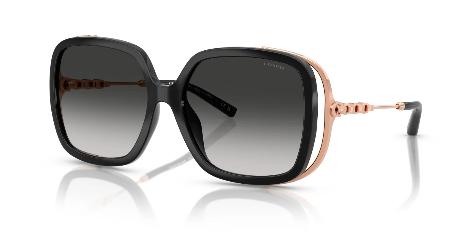 Coach Sunglasses HC8423U