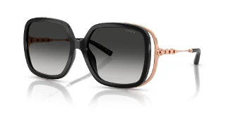Coach Sunglasses HC8423U
