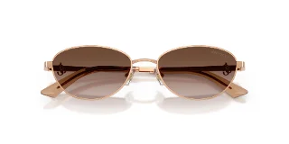 Jimmy Choo Sunglasses JC4032BD