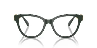 Swarovski Eyeglasses SK2004