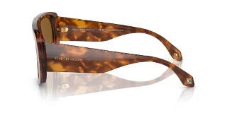 Giorgio Armani Sunglasses AR8183