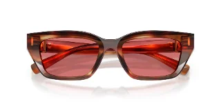 Dolce & Gabbana Sunglasses DG4532