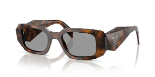 20D50Q Juniper Tortoise