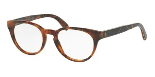5017 Shiny Jerry Tortoise