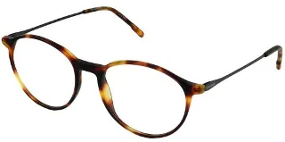 31 Tortoise
