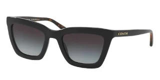 Coach Sunglasses HC8203 L1630
